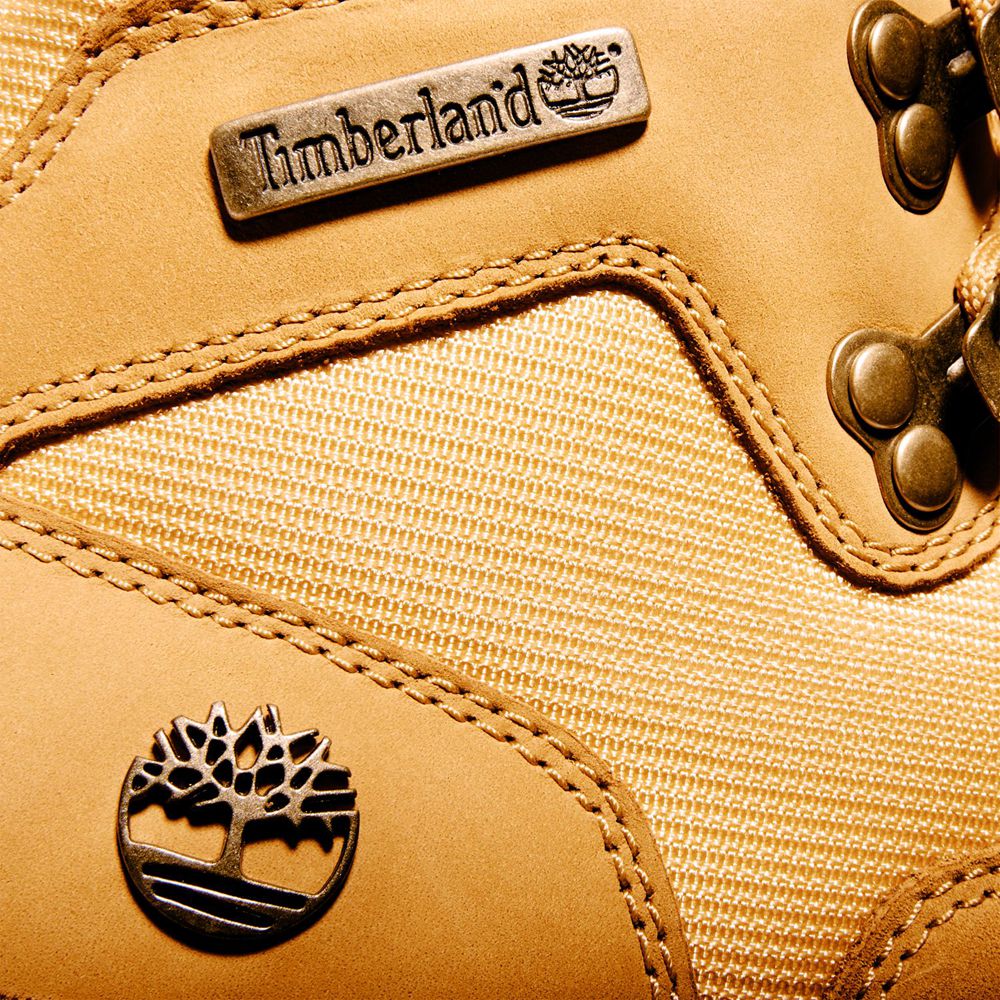 Bocanci De Drumeție Timberland Barbati Maro - Euro - Romania - NBYDWO536